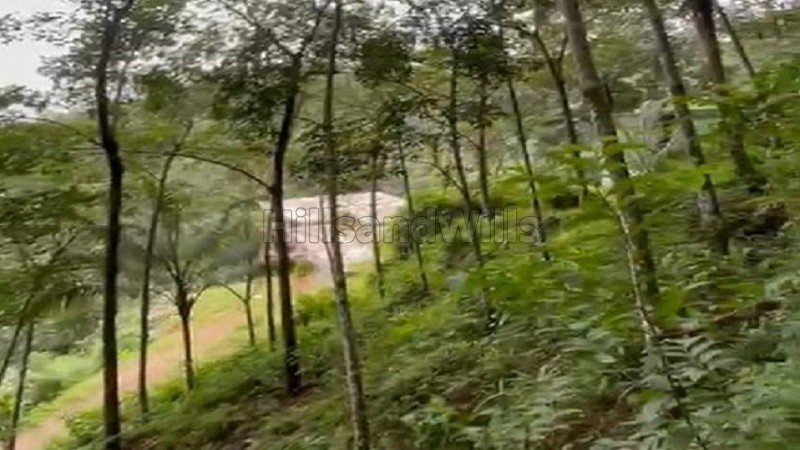 ₹40 Lac | 82 cents rubber estate for sale  in vanchikavala idukki