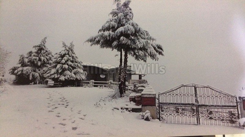 ₹3 Cr | 3bhk  snow clad himalayan view cottage for sale  in mukteshwar nainital