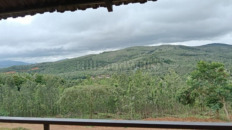 ₹6 Cr | 8 acres coffee estate for sale  in chikmagalur