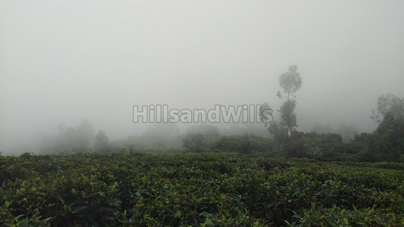 ₹1.30 Cr | 1.45 acres agriculture land for sale  in bengalmattam ooty