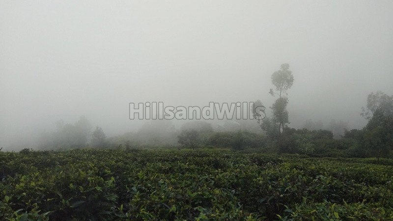 ₹1.30 Cr | 1.45 acres agriculture land for sale in bengalmattam ooty