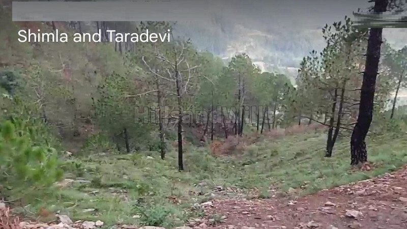 ₹3 Cr | 6 bigha agriculture land for sale  in shimla