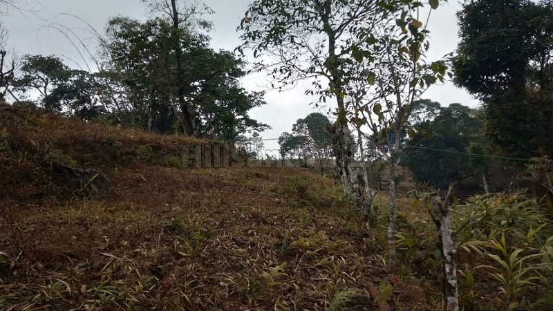 ₹1.50 Cr | 100.24 decimal commercial land  for sale in kalimpong darjeeling