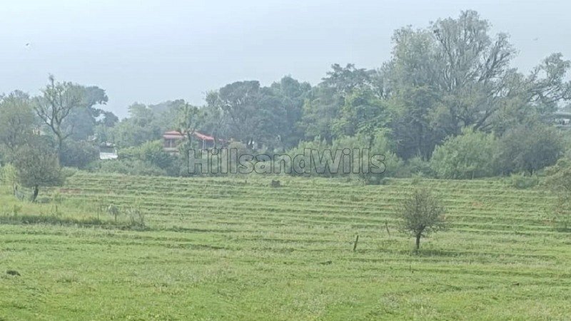 ₹1.84 Cr | 4.12 kanal agriculture land for sale  in gharoh, dharamshala himachal pradesh