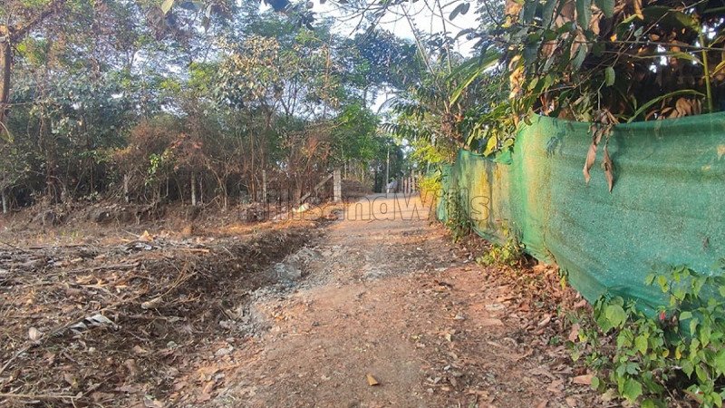 ₹7 Lac | 14 cents residential plot for sale  in cheengode wayanad