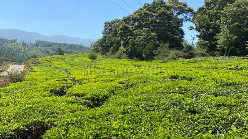 ₹2 Cr | 1 acres Agriculture Land For Sale in Thummanatty Ooty