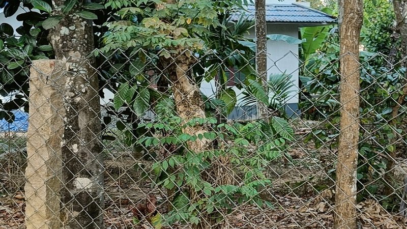 ₹35 Lac | 4356 sq.ft. residential plot for sale  in sulthan bathery wayanad