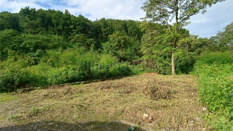 ₹56 Lac | 172.5 sq.yards  doon valley view residential plot for sale  in danda lakhond dehradun