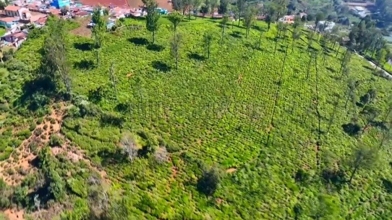₹18.50 Cr | 10 acres agriculture land for sale in ketty coonoor