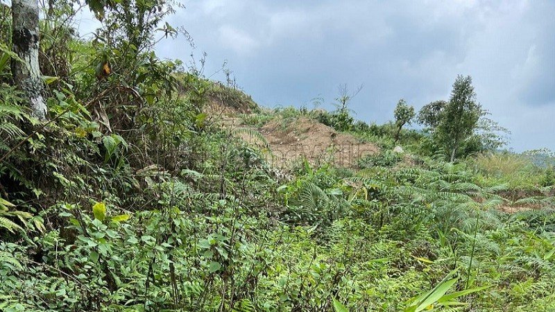 ₹1.50 Cr | 21000 sq.ft. agriculture land for sale  in kalimpong darjeeling