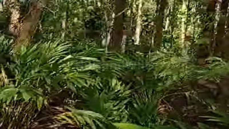 ₹1.36 Cr | 1.35 acres agriculture land for sale  in bailnadu kolli hills