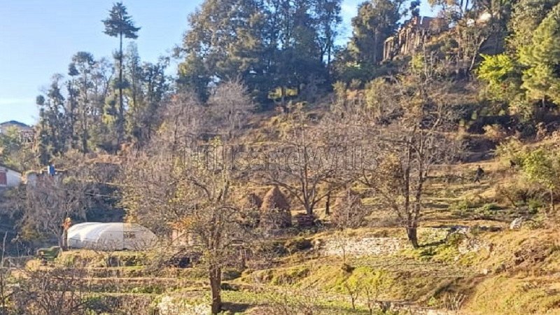 ₹75 Lac | 6.2 nali residential plot for sale  in darima mukteshwar nainital