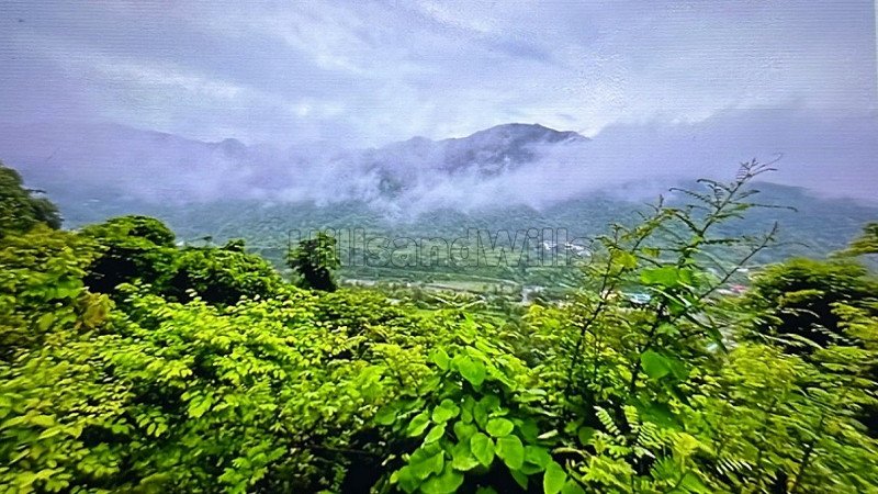 ₹29 Lac | 200 sq.yards residential plot for sale  in near chakrata road mussoorie