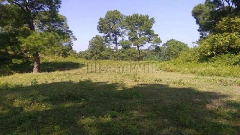 ₹1.40 Cr | 14 acres agriculture land for sale  in thalamokkai kotagiri