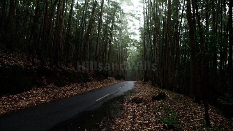₹2.30 Cr | 2.31 acres agriculture land for sale  in vattavada munnar
