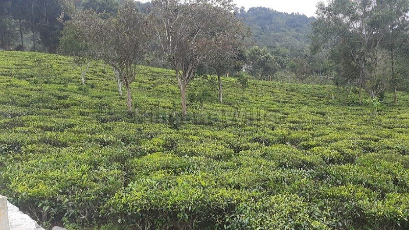 ₹52.50 Lac - 1 Cr | 21 cents - 40 cents residential plot for sale  in aravenu kotagiri