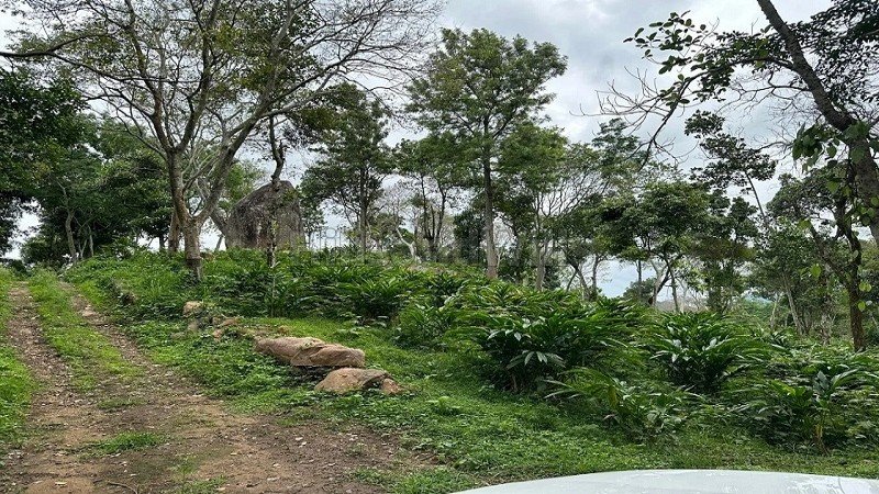 ₹30 Lac | 325 acres agriculture land for sale  in pandrimalai village kodaikanal
