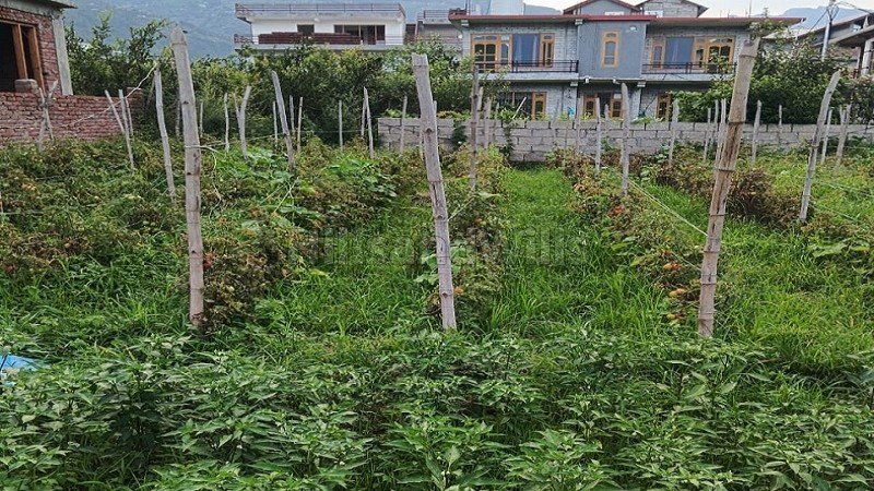 ₹98 Lac | 7 biswa residential plot for sale  in bhunter kullu-manali