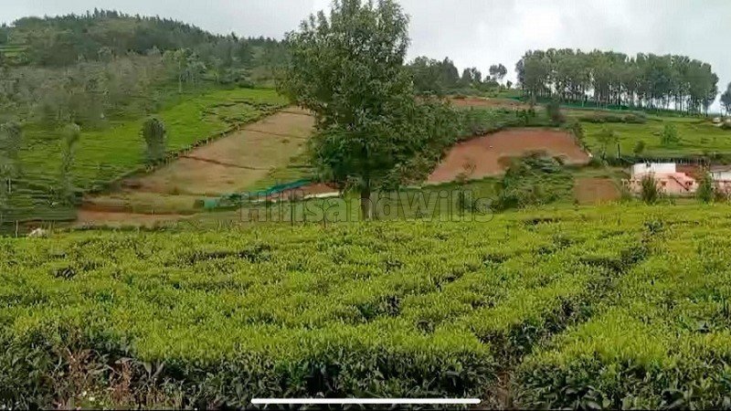 ₹25 Lac | 10 cents residential plot for sale  in kambatti ooty