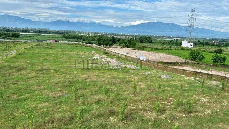 ₹25 Lac | 150 gaj residential plot for sale  in dehradun