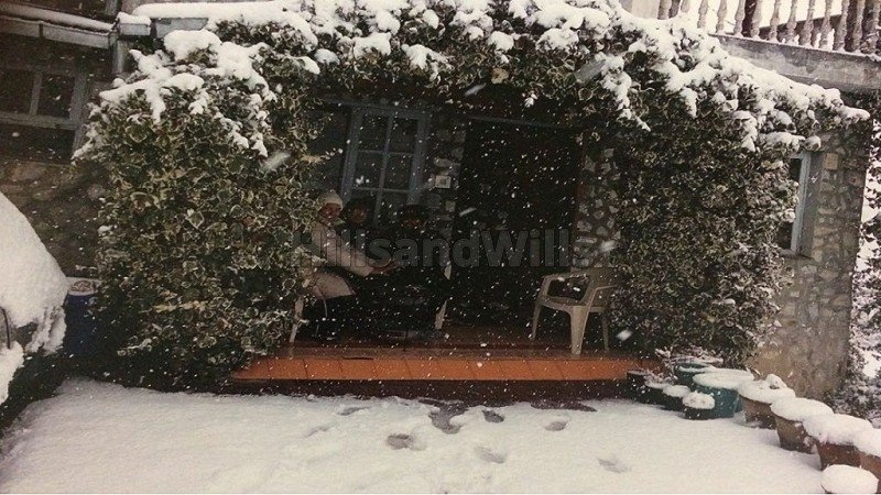 ₹3 Cr | 3bhk  snow clad himalayan view cottage for sale  in mukteshwar nainital