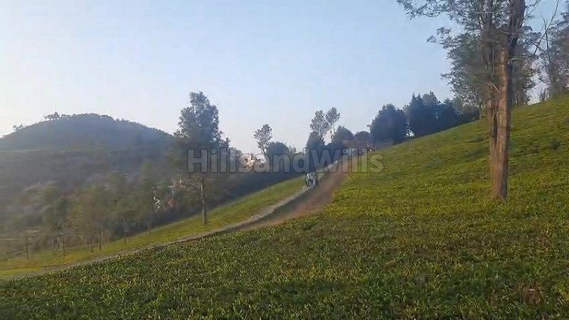 ₹4 Cr | 2 acres tea estate for sale in kotagiri