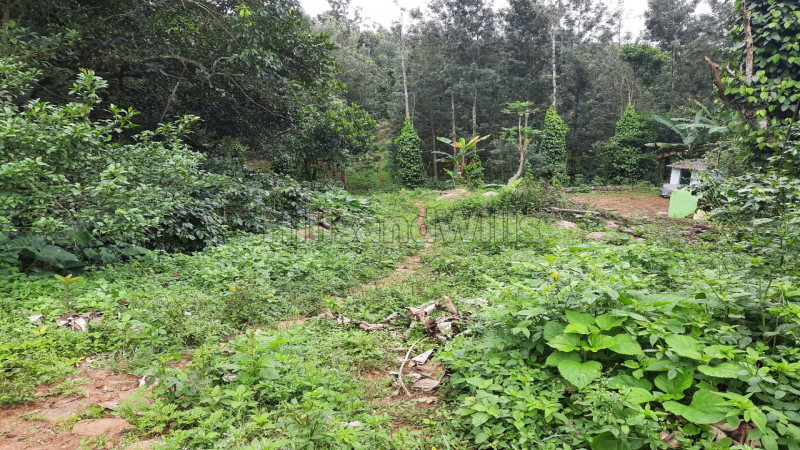 ₹1 Cr | 2.2 acres agriculture land for sale in kolli hills