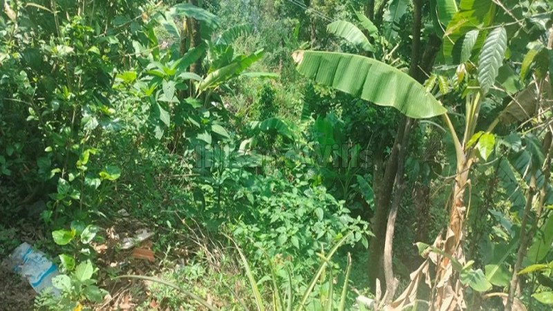 ₹45 Lac | 20 cents residential plot for sale  in mekkeri coorg