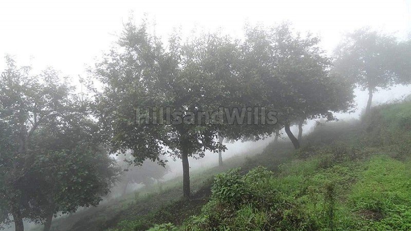 ₹1.19 Cr | 10900 sq.ft.  palani temple view gated community residential plot for sale  in vilpatti kodaikanal