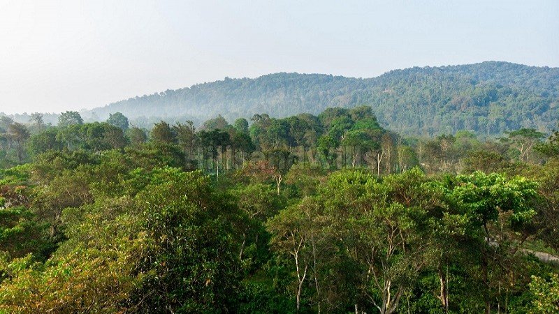 ₹36 Lac | 6000 sq.ft.  premium estate plots for sale  in virajpet coorg