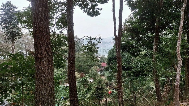 ₹4 Cr | 2900 sq.meter  himalayan view residential plot for sale  in kalimpong darjeeling