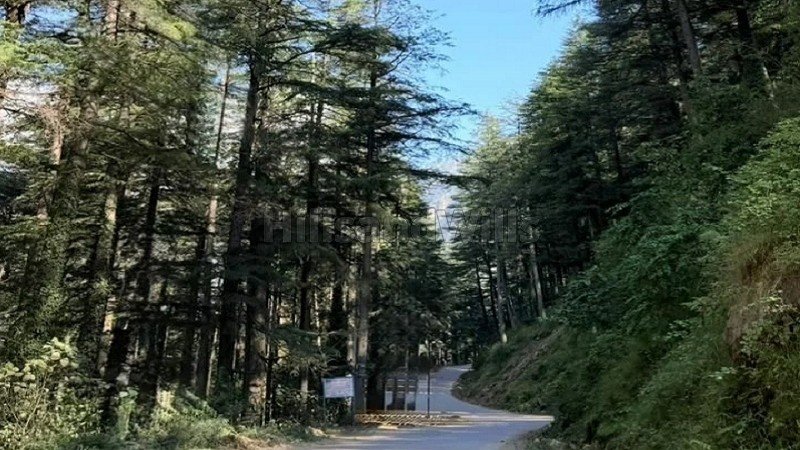 ₹3.20 Cr | 8720 sq.ft. commerical land for sale  in kasol kullu-manali