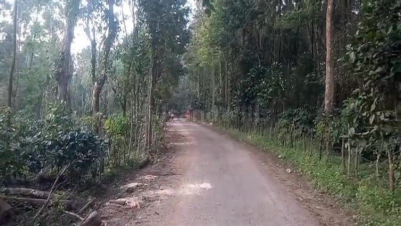 ₹20 Cr | 50 acres coffee estate for sale  in somwarpet coorg