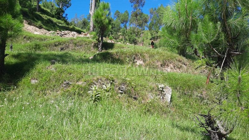 ₹24 Lac | 300 sq.yards residential plot for sale  in sunderkhal nainital