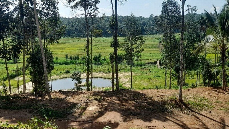 1 acres residential plot for sale  kariambadi wayanad