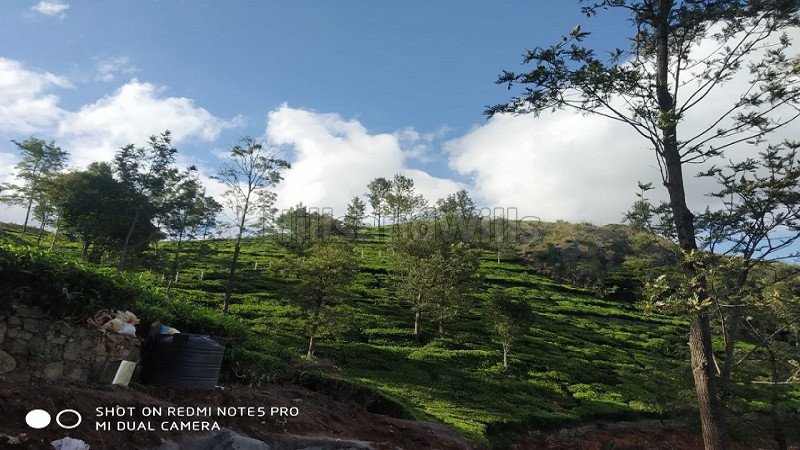 ₹68.25 Lac | 21 cents agriculture land for sale  in hadathurai kotagiri