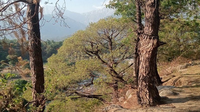 ₹1.50 Cr | 8300 sq.ft. commerical land for sale  in dharmshala himachal pradesh