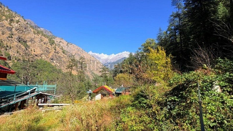 ₹2.25 Cr | 6534 sq.ft. commerical land for sale  in kasol kullu-manali