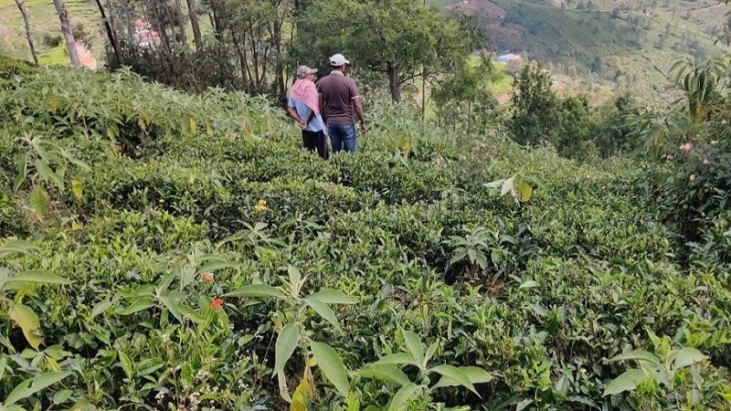 ₹5 Lac | 10 cents  land for sale  in naduhatty kotagiri