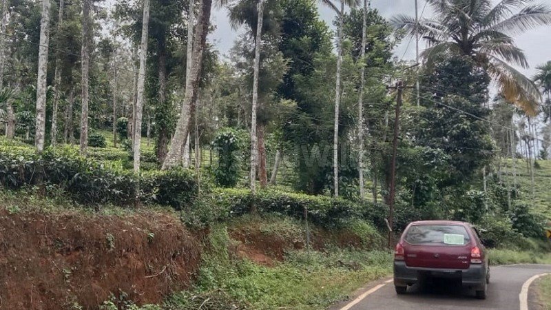 ₹20 Lac | 1 acres tea estate for sale  in muthirakolly, bitherkad gudalur