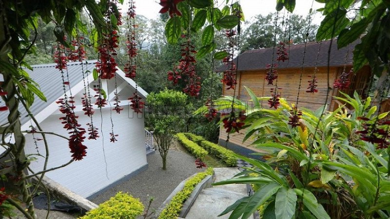 ₹4.50 Cr | 5000 sq. ft resort for sale  in lechmi estate munnar along with 40 cents land