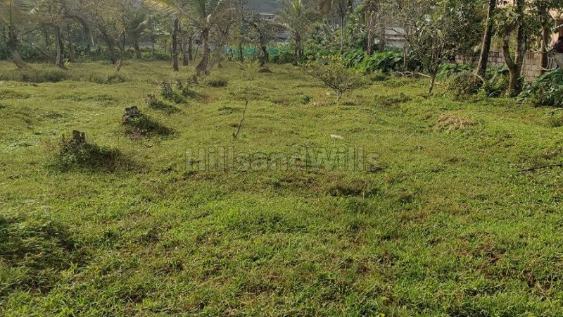 ₹2.16 Cr | 54 cents residential plot for sale  in pandalur gudalur