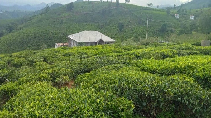 ₹1.05 Cr | 30 cents residential plot for sale  in coonoor