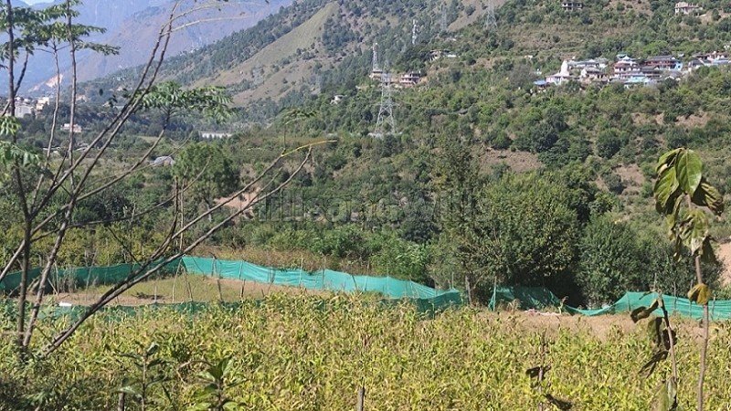 ₹40 Lac | 8712 sq.ft. agriculture land for sale in aut kullu-manali