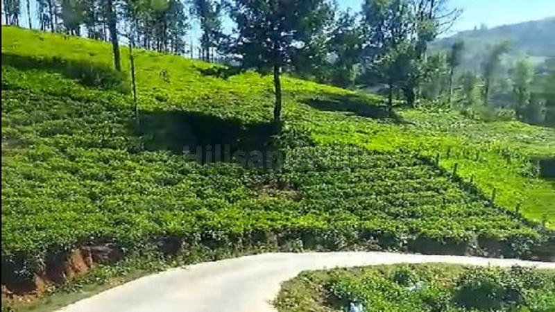 ₹37.50 Lac | 25 cents residential plot for sale in between ooty and kotagiri