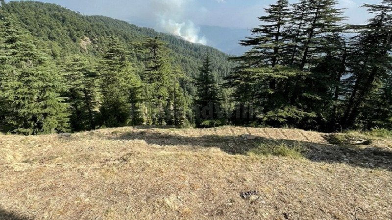 ₹5 Cr | 5 bigha commercial land  for sale in kufri shimla