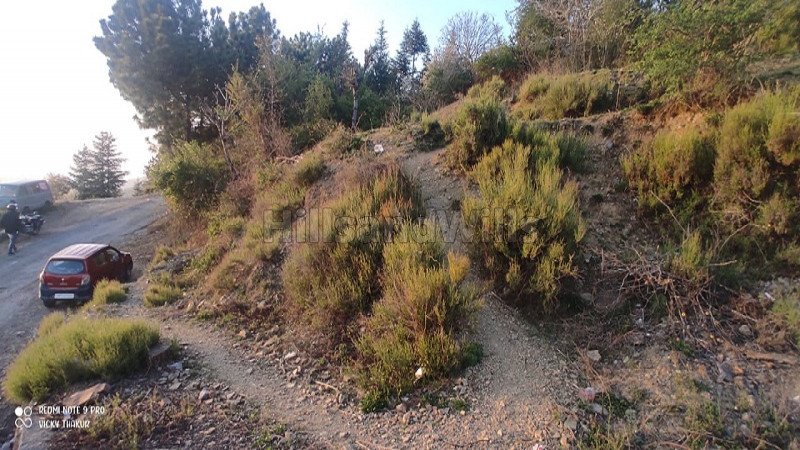 ₹1.60 Cr | 2 bigha commerical land for sale  in baldeyan shimla