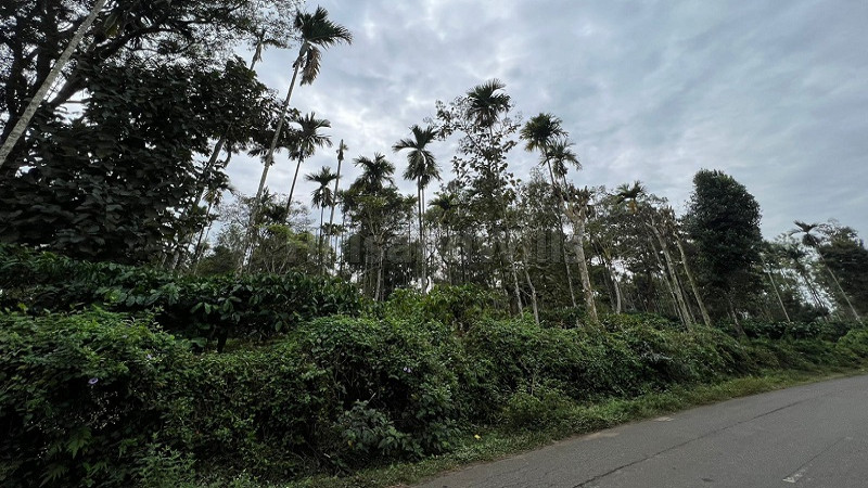 ₹3 Cr | 2 acres commercial land  for sale in panamaram wayanad