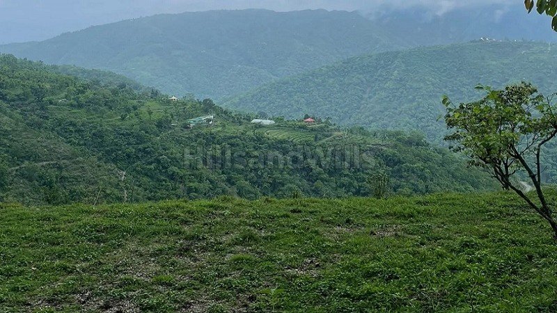 ₹40 Lac | 7 bigha agriculture land for sale  in itharana bhogpur dehradun