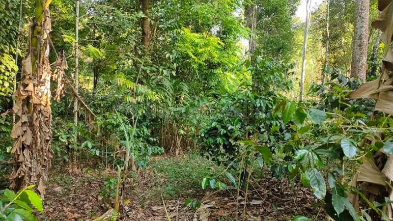 ₹75 Lac | 2.5 acres agriculture land for sale in pachalur kodaikanal